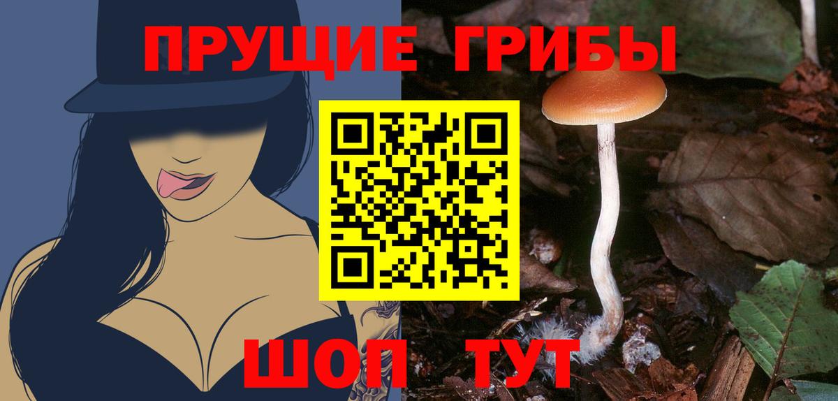 Псилоцибиновые грибы мухоморы Калач-на-Дону